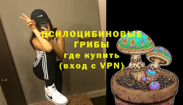 шишки Алексеевка