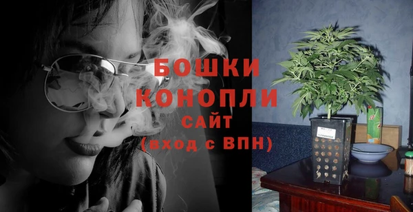 шишки Алексеевка