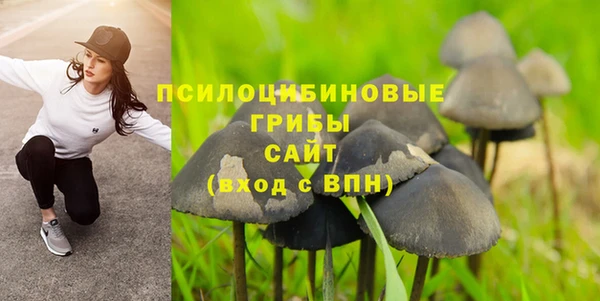 МДПВ Абдулино