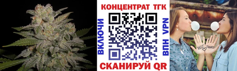mega как войти Дмитриев ТГК концентрат