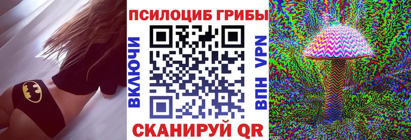 Псилоцибиновые грибы прущие грибы  где найти   Дмитриев 